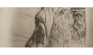Printing the Clay: Screen Printing Explorations of a Curious Potter