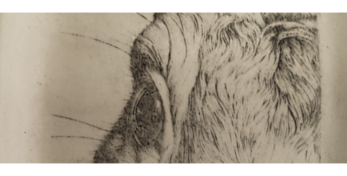 Printing the Clay: Screen Printing Explorations of a Curious Potter